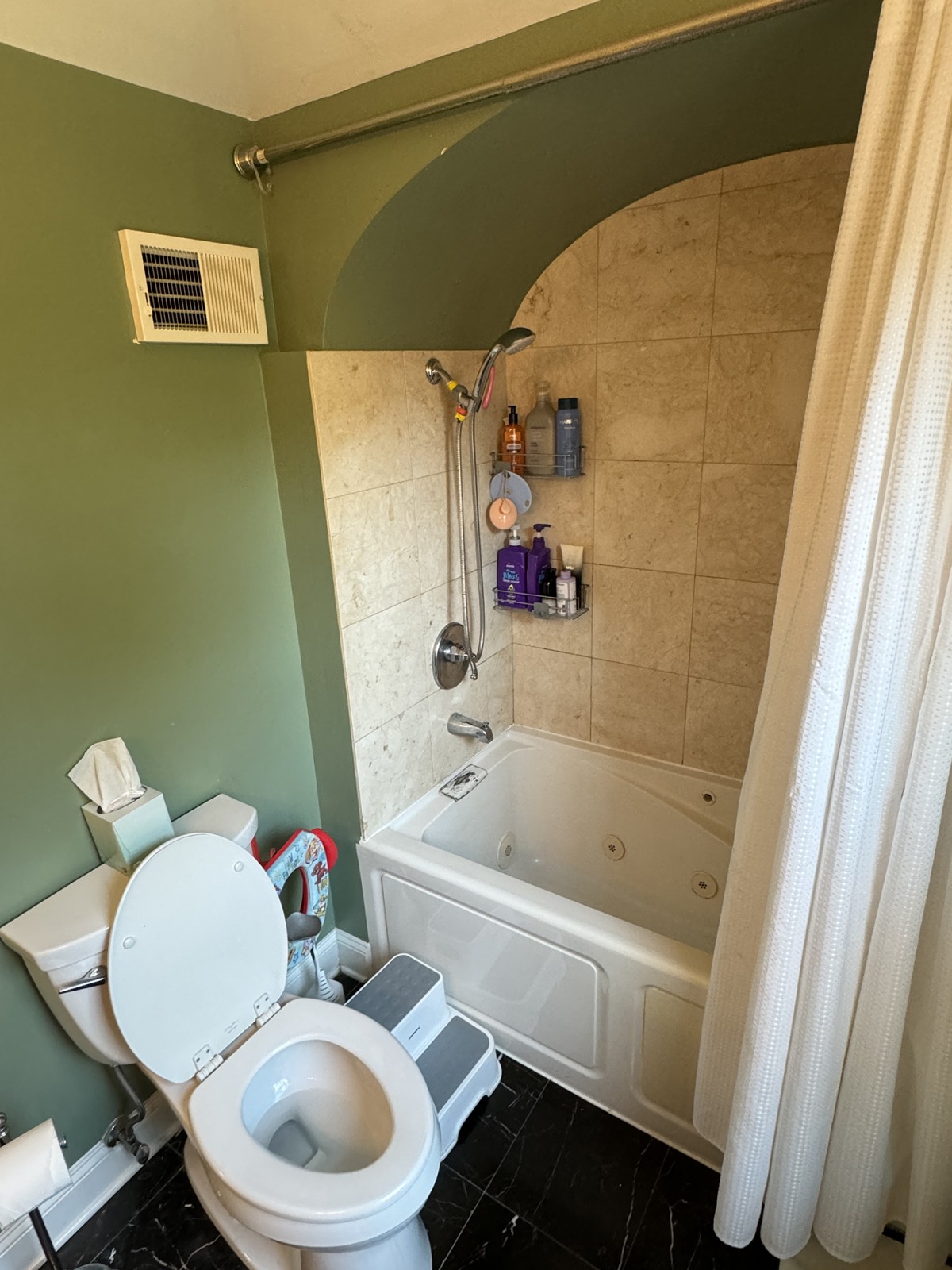 Bathroom Remodeling Services in Chicagoland picture